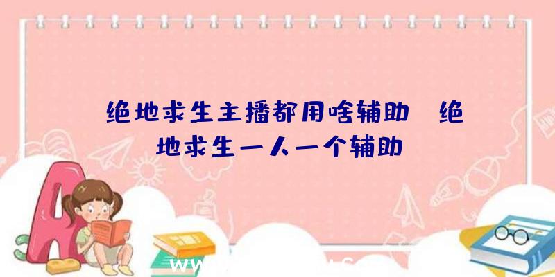 「绝地求生主播都用啥辅助」|绝地求生一人一个辅助